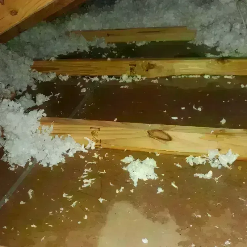 Attic Water Damage in Coulee Dam, WA